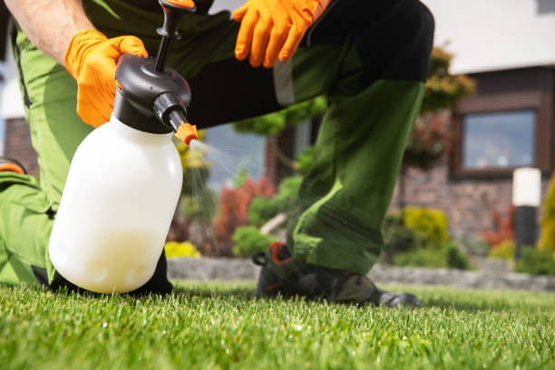 Best Local Pest Control Services  in Midway South, TX