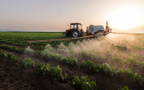 Best Pest Prevention Services  in Midway South, TX