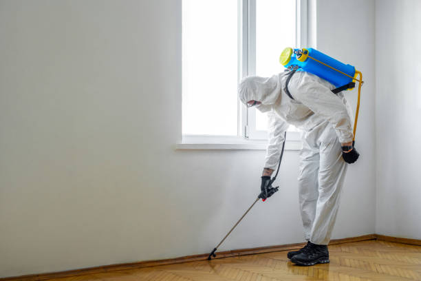 Professional Pest Control in Midway South, TX