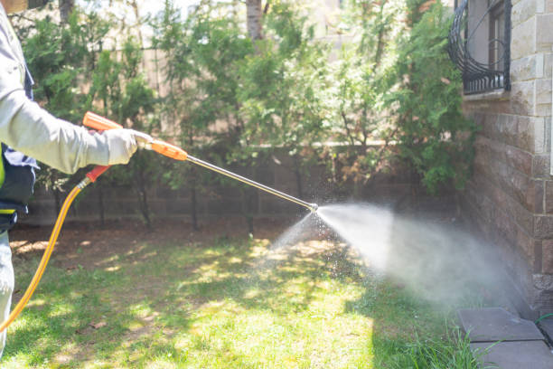Best Insect Control  in Midway South, TX