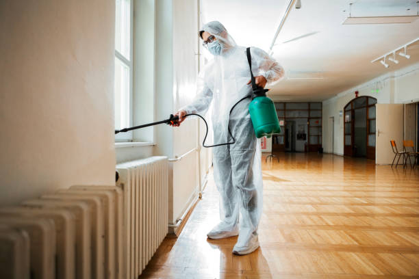 Best Wasp Removal Services  in Midway South, TX